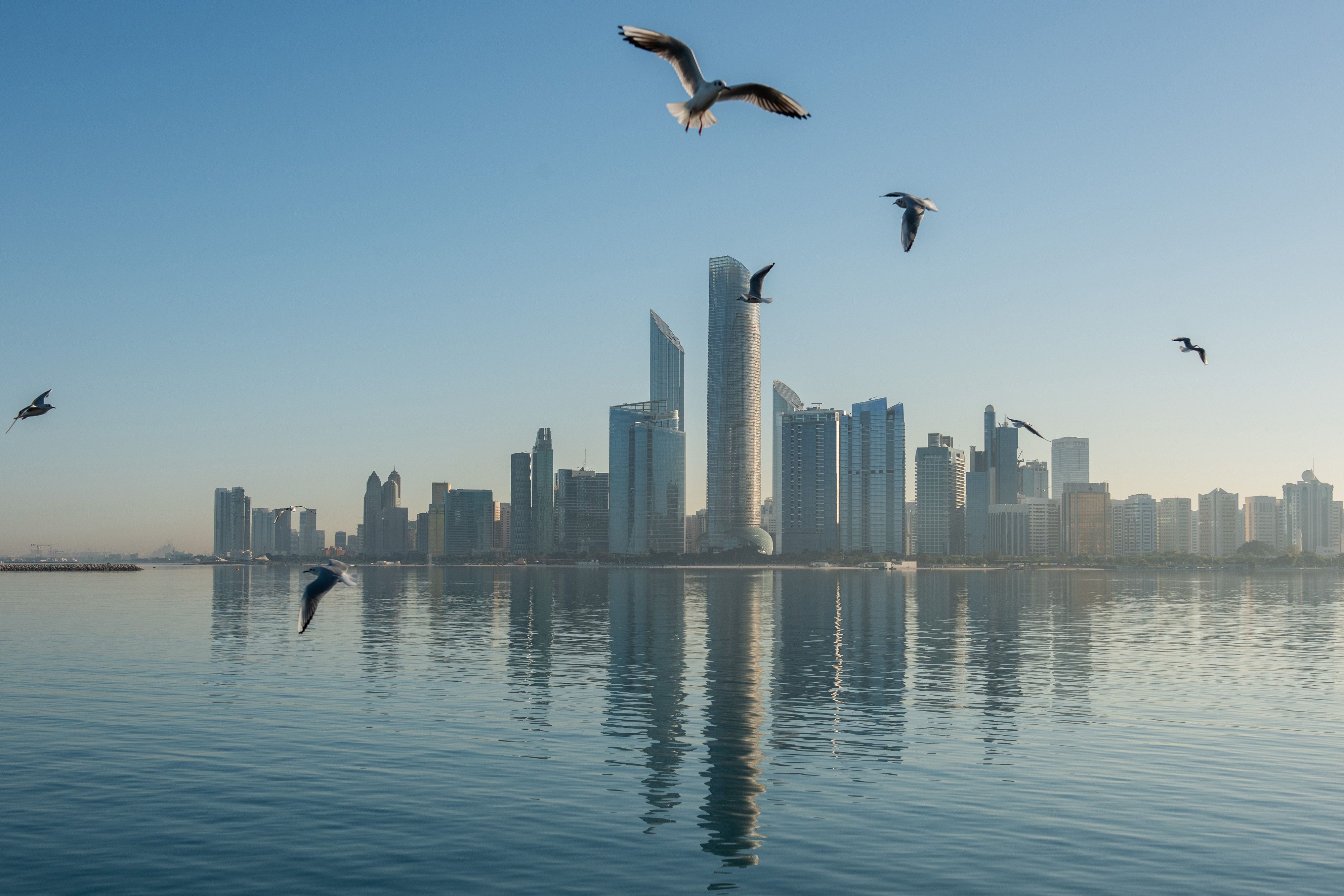 Abu Dhabi skyline with water in front and birds flying around. 