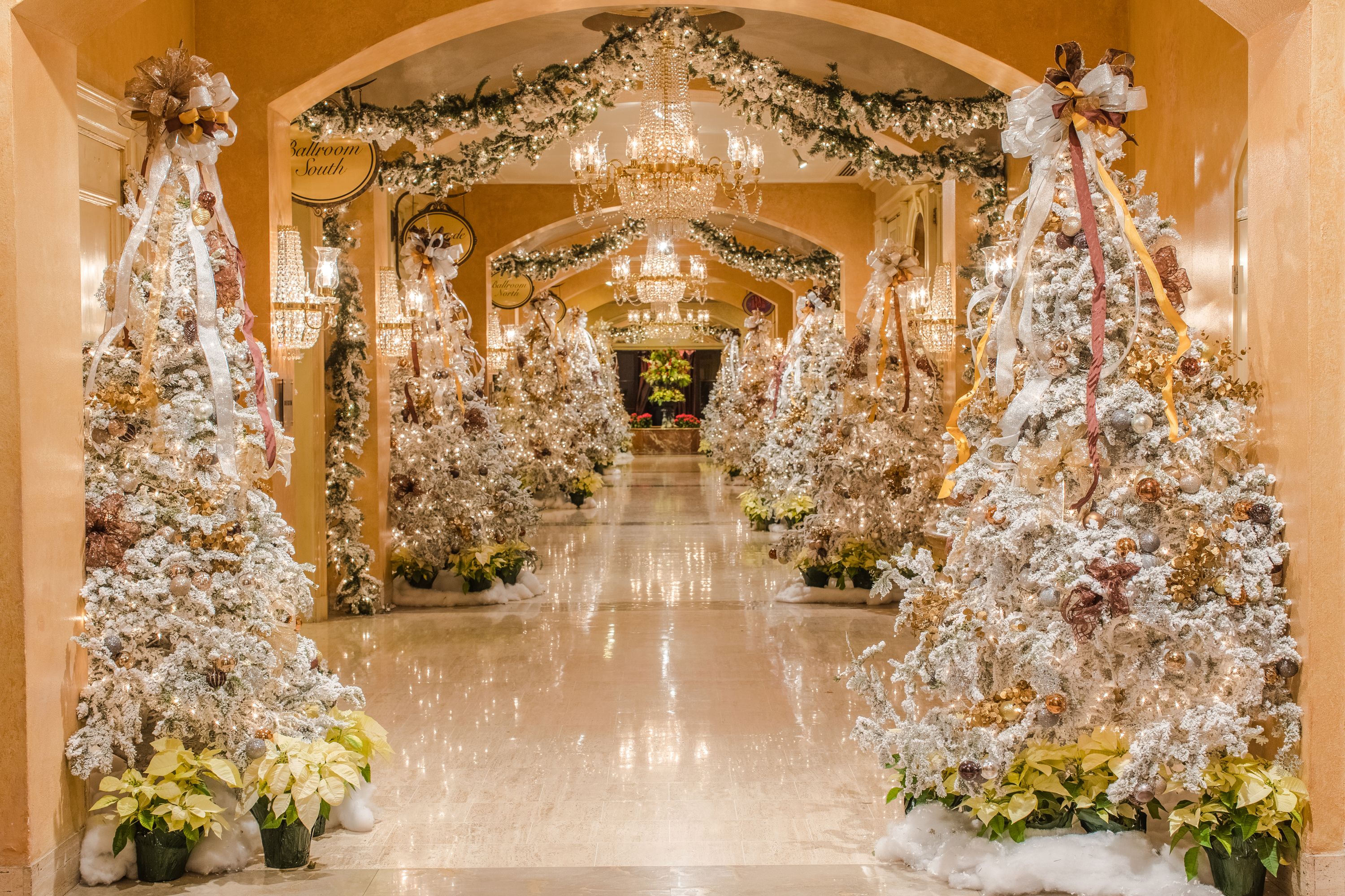 Photo shows a hall of white Christmas trees and garland.