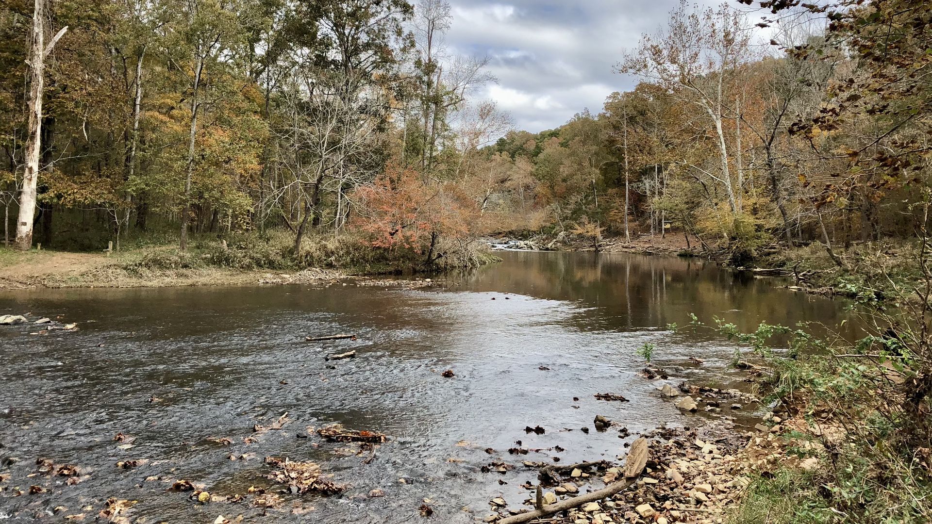 Autumn riverbank scene: calm water with fallen leaves, and trees in fall colors along a rocky shore under a cloudy sky.