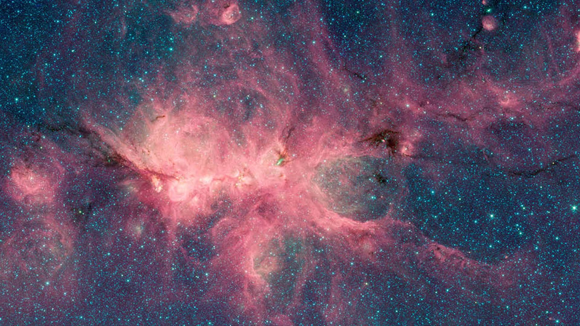 The Cat's Paw Nebula seen by the Spitzer Space Telescope.