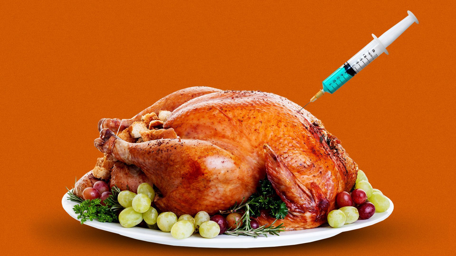 Illustration of a vaccine syringe poking into a cooked Thanksgiving Day turkey
