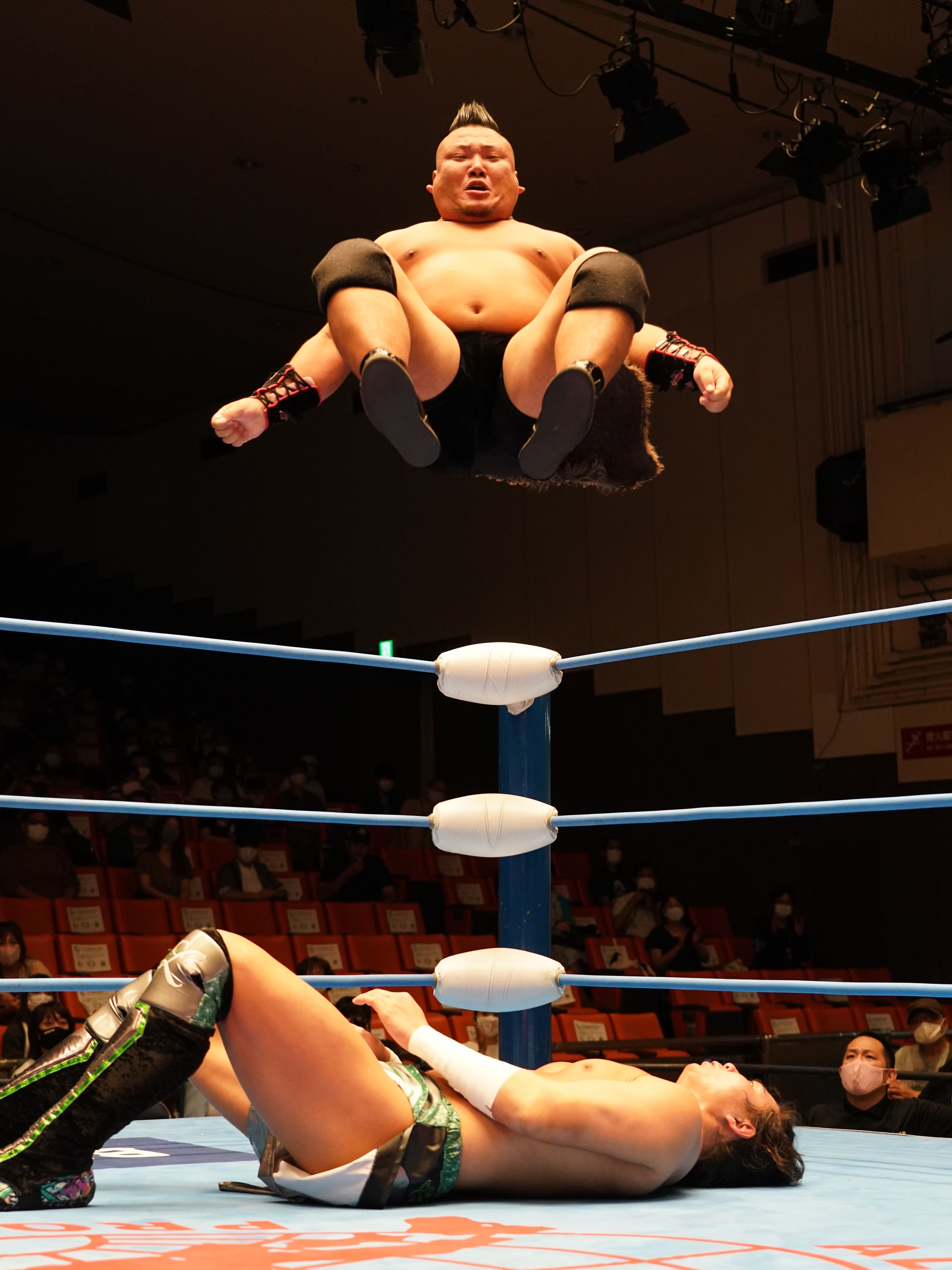 Japanese wrestling