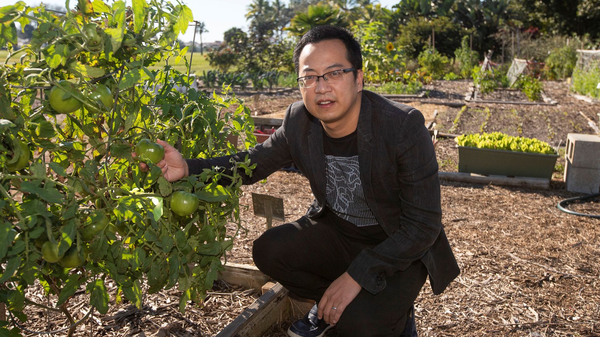 Jiangxiao Qiu, associate professor of landscape ecology at UF/IFAS Fort Lauderdale Research and Education Center (FLREC) and course co-organizer, offers a look at the FLREC urban vegetable garden demonstration.