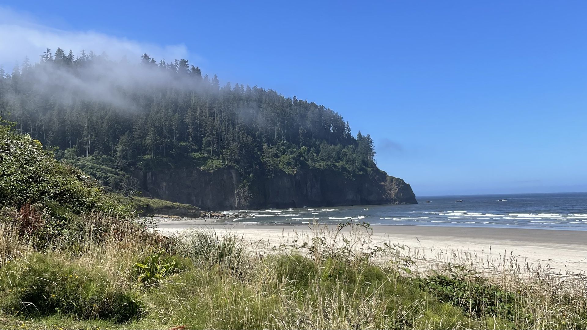 Sandy beach with waves, green grassy foreground, and a forested cliff partially covered in mist under a clear blue sky.