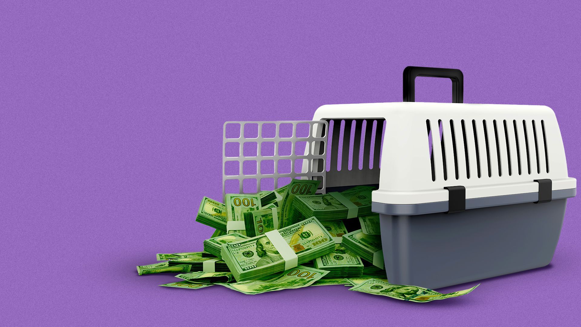 Illustration of a pet carrier overflowing with money.