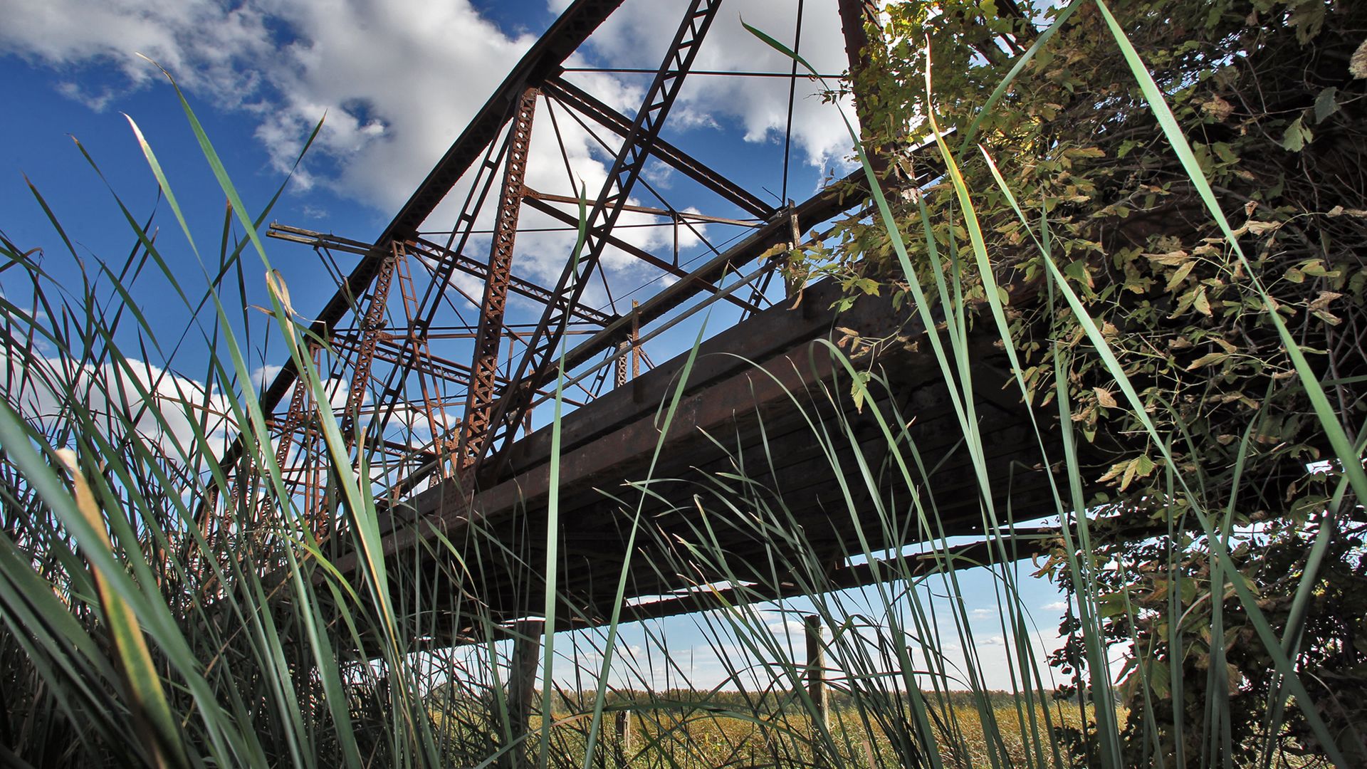 An old iron bridge with tall grass and bushes in the foreground.