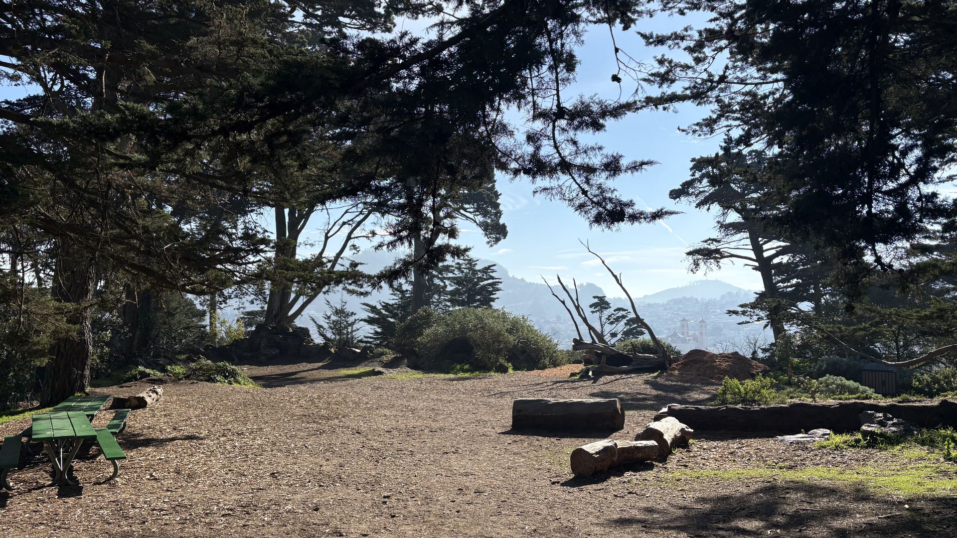 Sunlit forest clearing with large trees, green picnic tables on the left, logs on the right, and hills visible through the trees in the background under a clear blue sky.