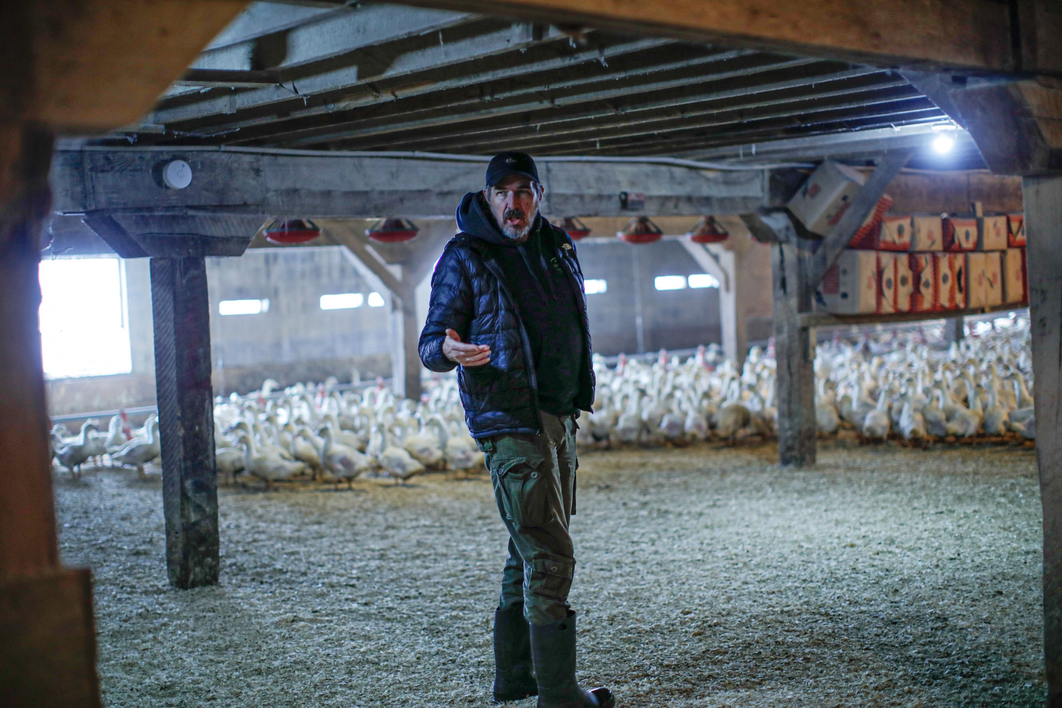 Hudson Valley Foie Gras vice president Marcus Henley gives a tour of the farm — and still invites media and legislators to come in and see foie gras production for themselves. Photo: KENA BETANCUR/AFP via Getty Images