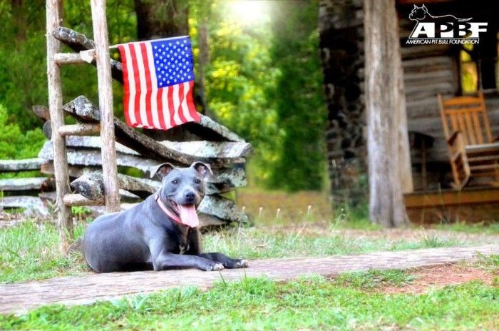 APBF Operation Sidekick