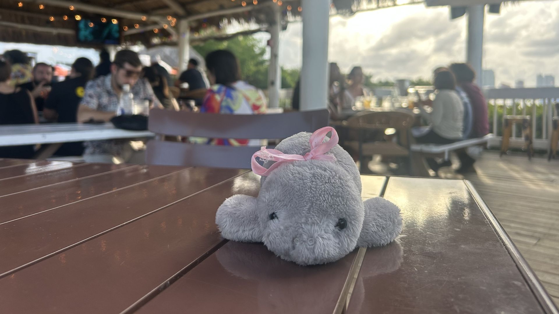 A stuffed manatee sitting on a table.