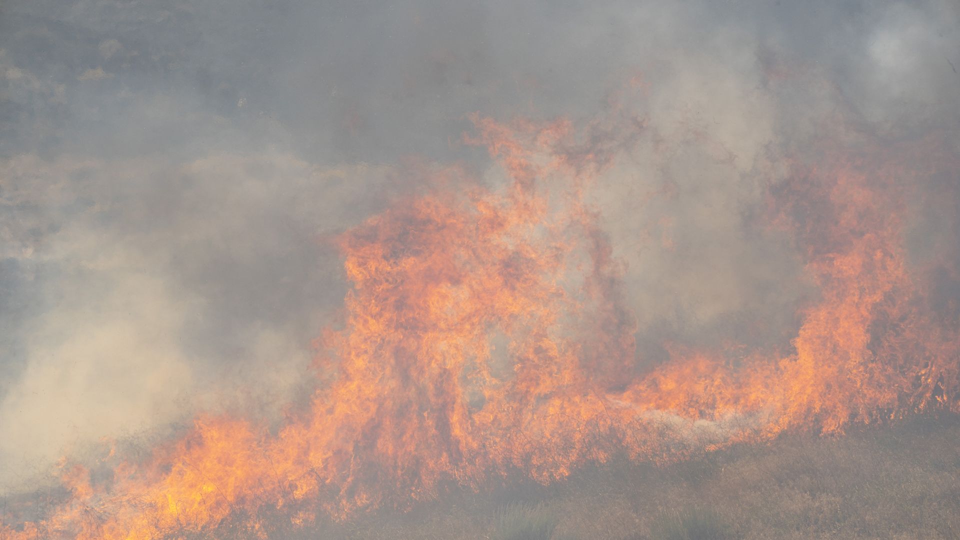An image of wildfire burning in dry grass in Washington state. 