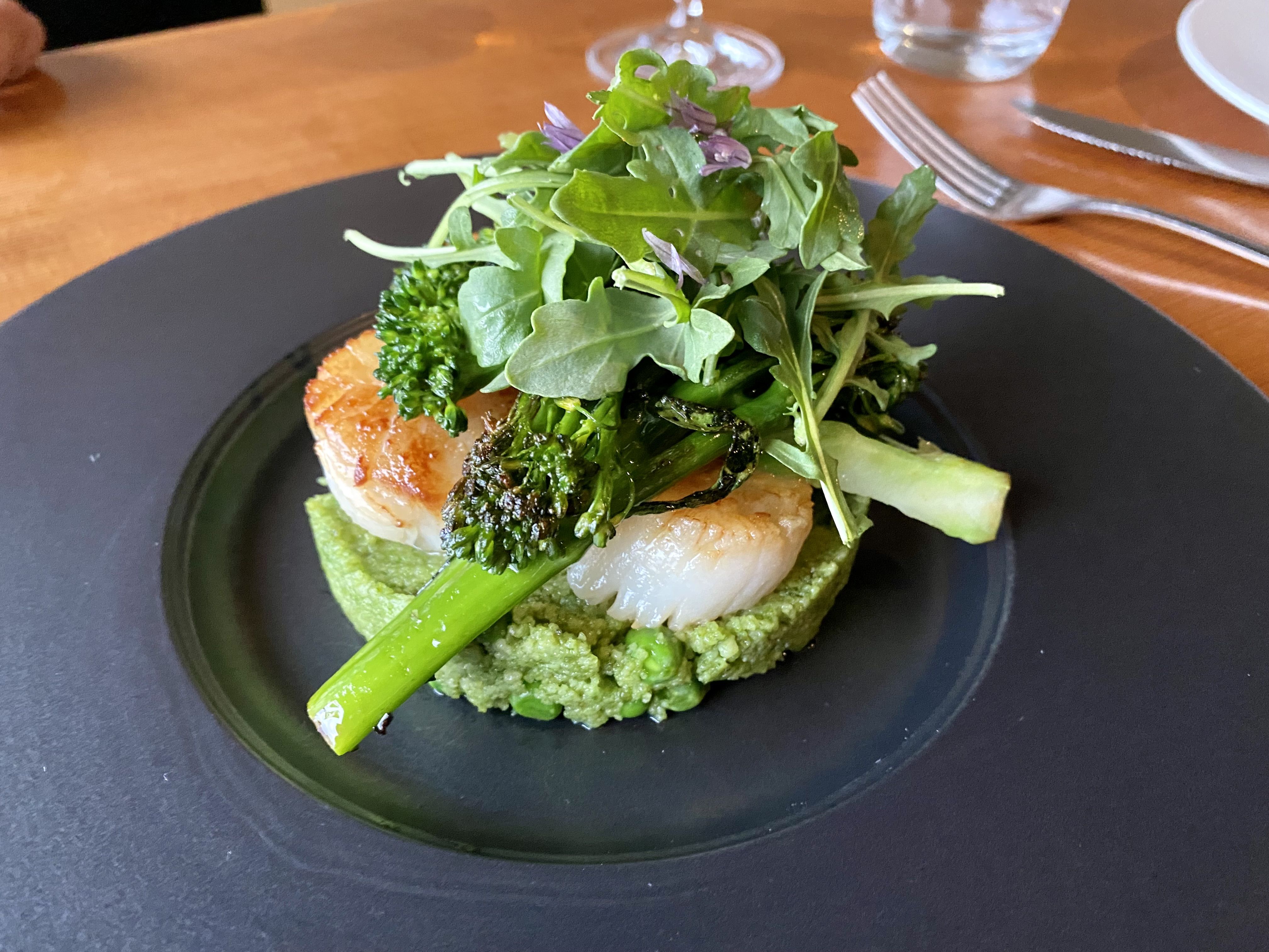 Scallops and broccolini atop a bed of green couscouse, shaped into a circle, on a dark plate with microgreens.