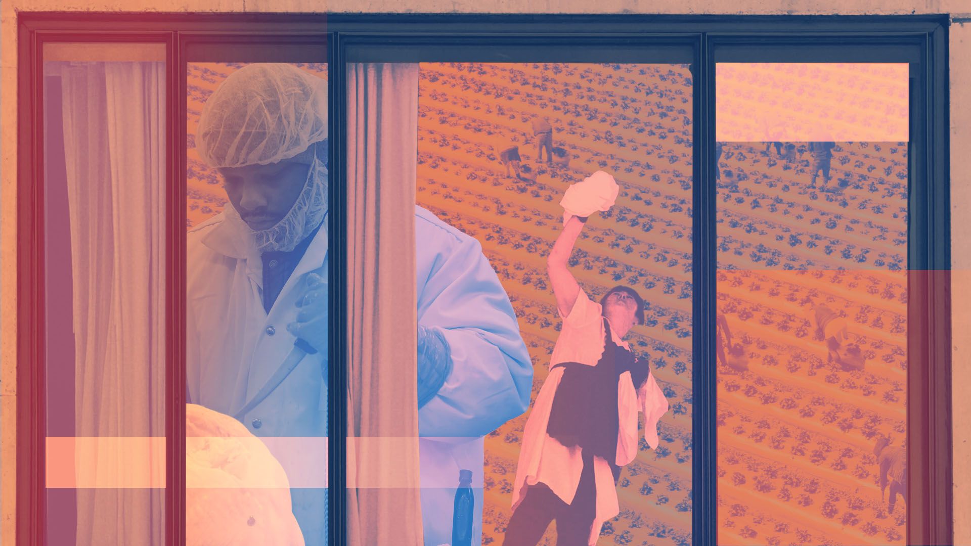 Photo illustration featuring a hotel worker cleaning a window, a poultry worker, and farm workers harvesting a crop
