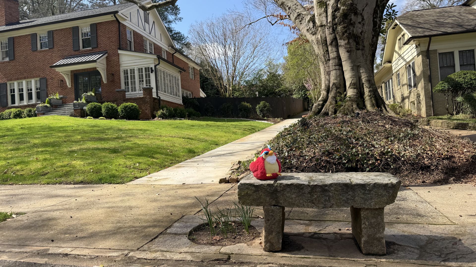 Sunny suburban scene with a large tree behind a stone bench. A colorful plush red turkey sits on the bench; brick house left, light-colored house right, green lawn and a sidewalk.