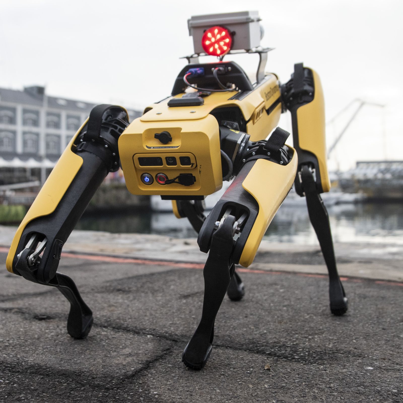Boston pledges not to weaponize its robots