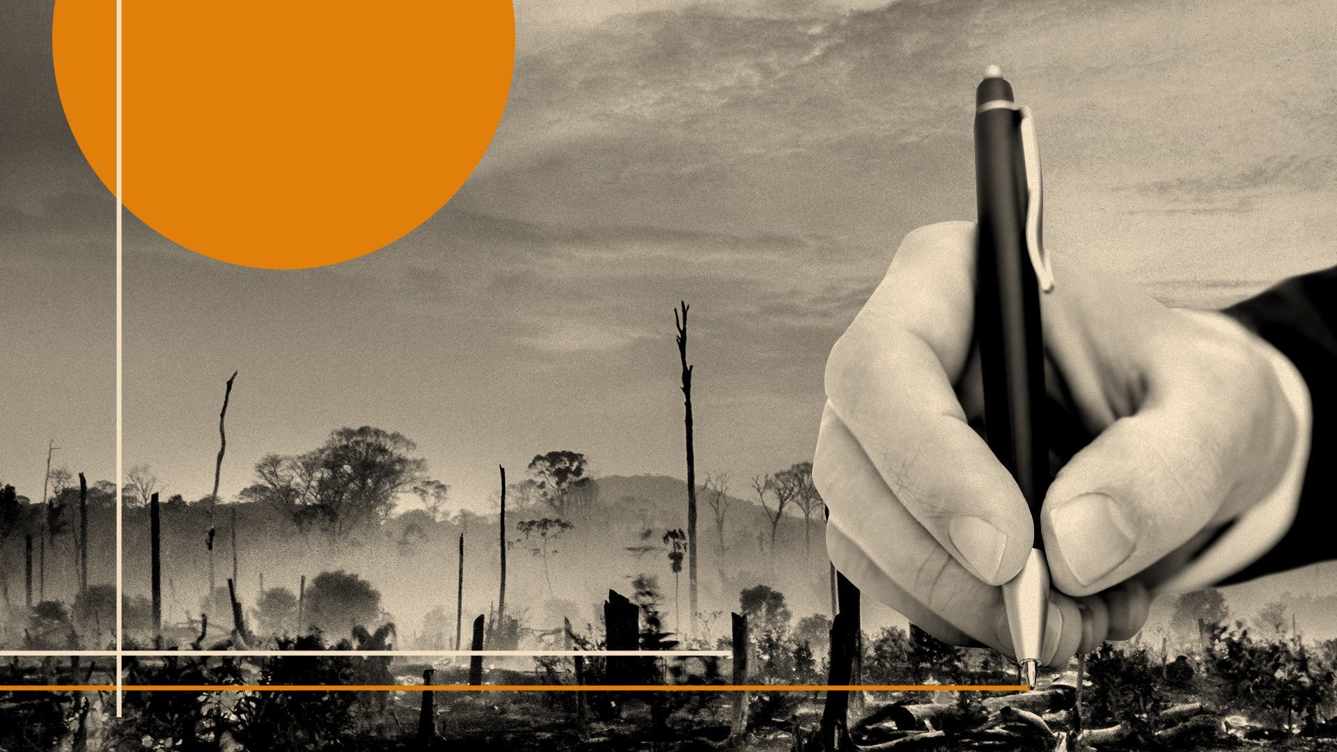 Illustration of a hand drawing a line over a background of a burnt forest landscape.