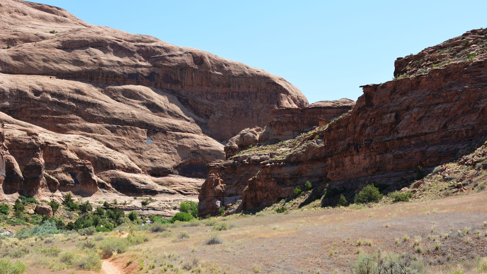 The Mill Creek area near Moab. Photo: Ryan Sutherland via U.S. Bureau of Land Management
