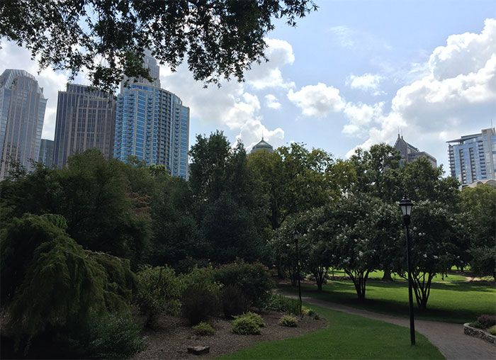 view-from-4th-ward-park-charlotte