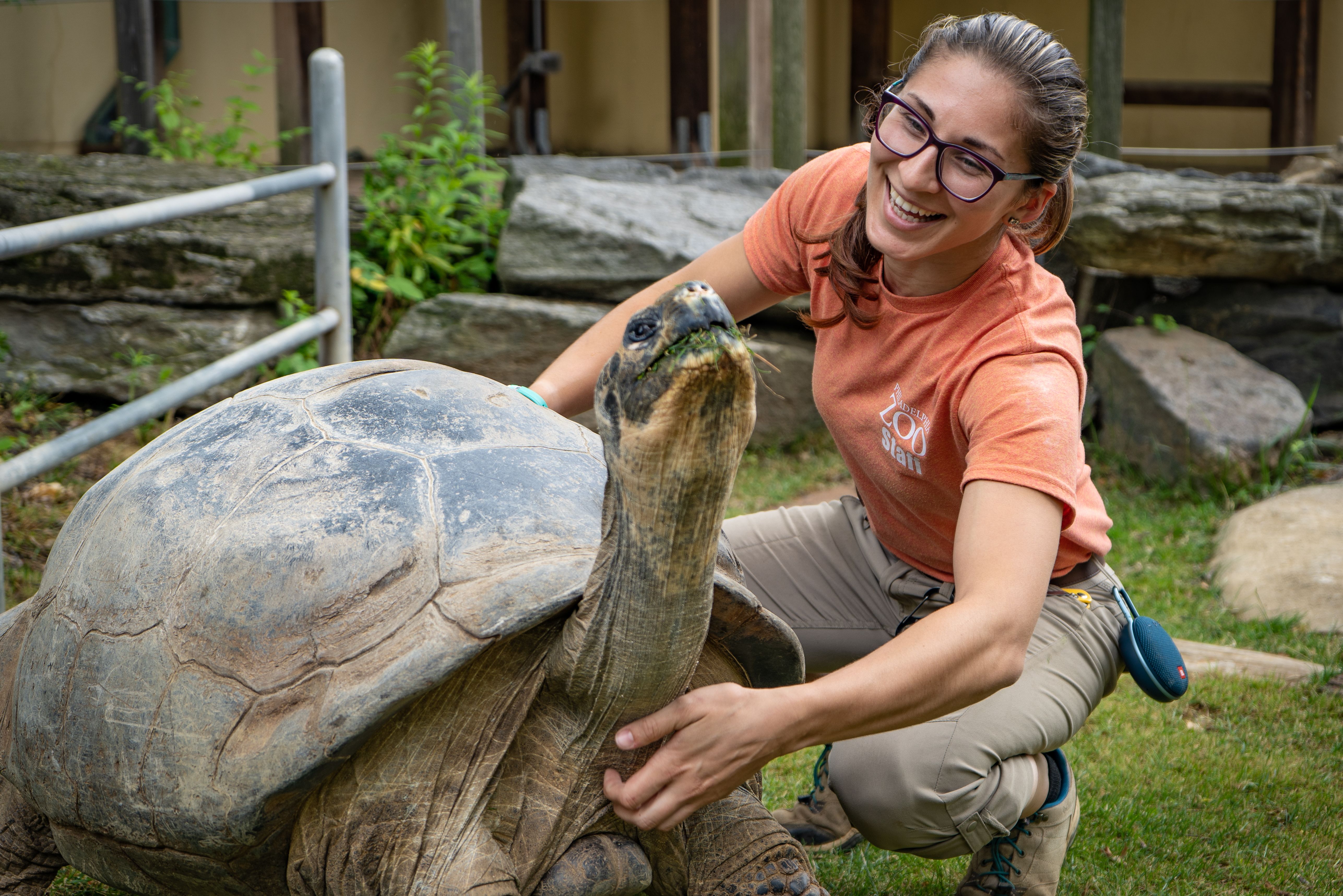 Galapagos tortoise named Mommy and a zookeeper at the Philadelphia Zoo
