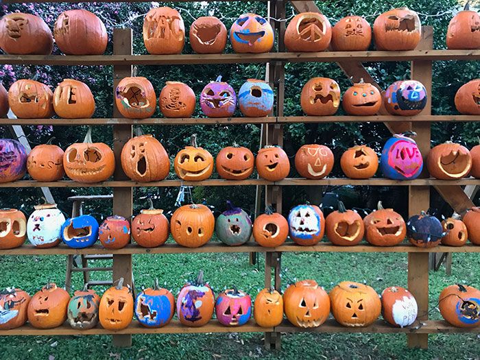 elizabeth-pumpkin-wall