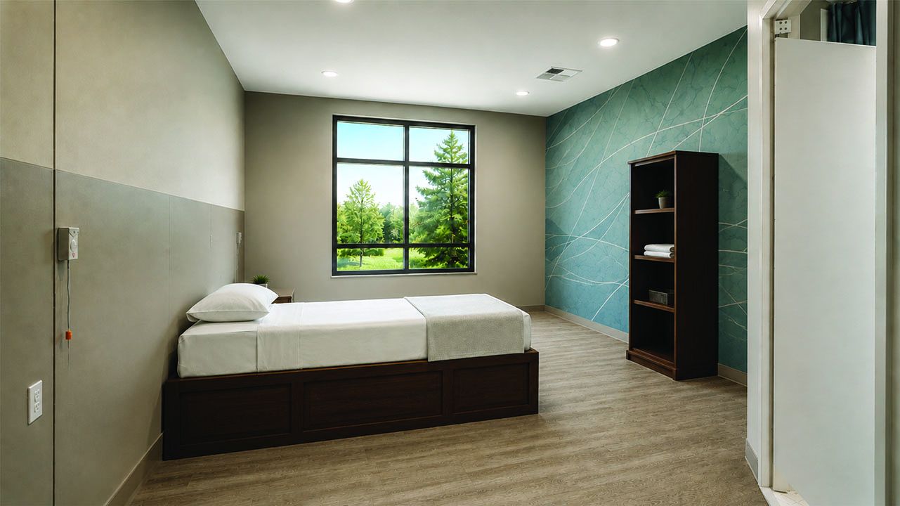 Hotel room with a low dark wood bed, white linens, gray walls, and teal accent wall with white curved lines. A window shows green trees outside; a tall dark bookshelf sits by the wall.