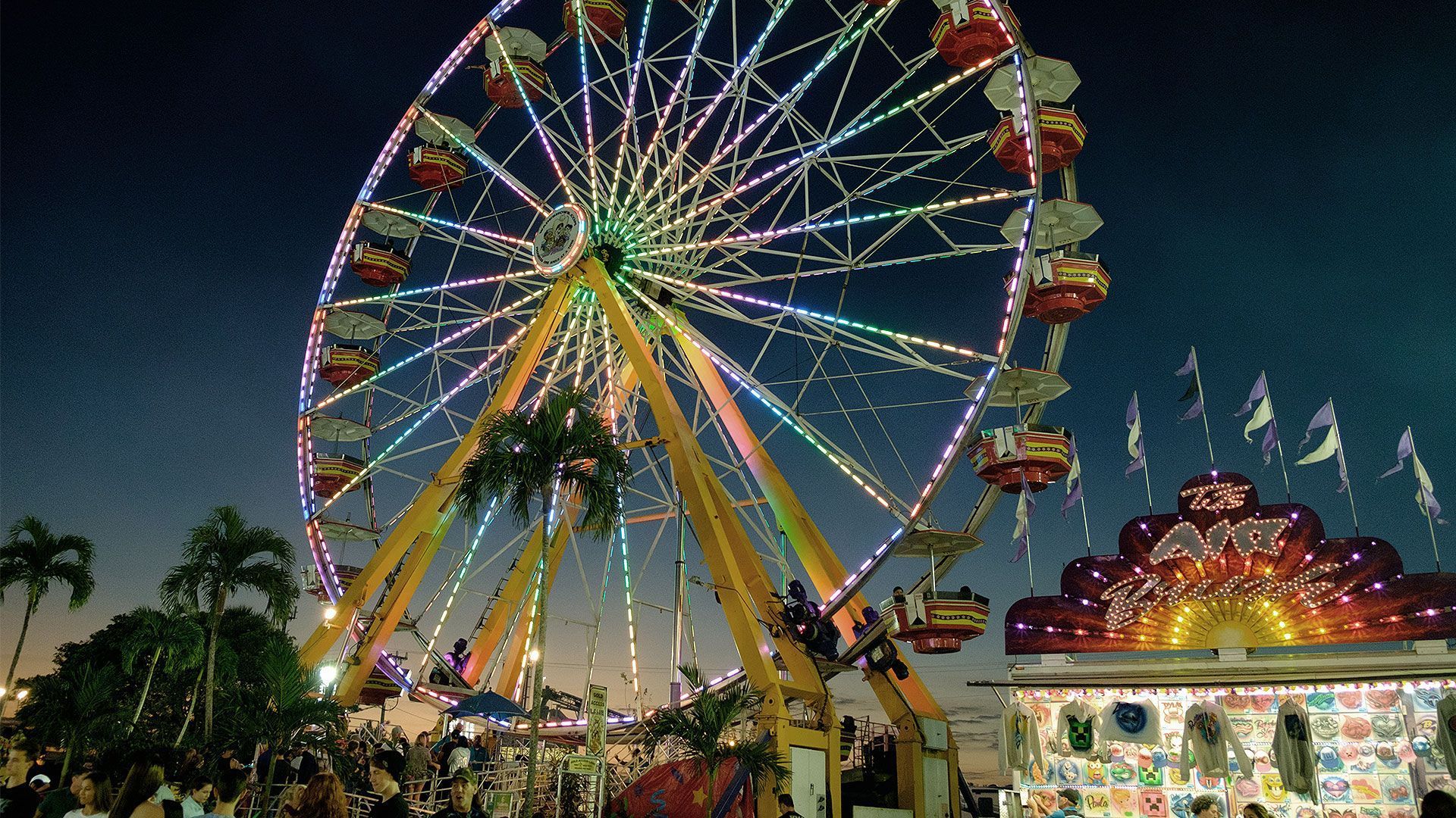 A ferris wheel at the Florida Strawberry Festival