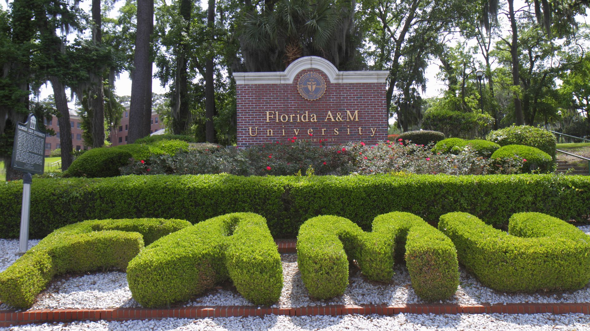 "F A M U" spelled out in bushes