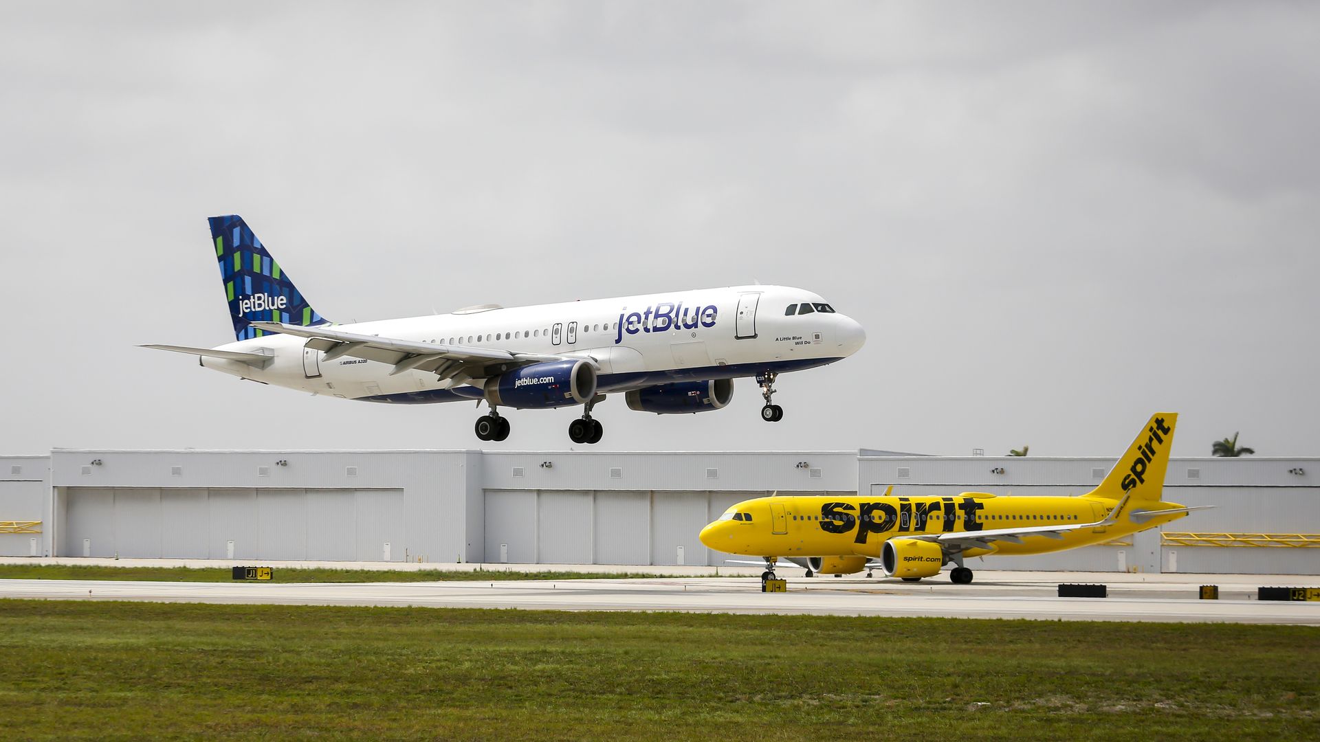 JetBlue and Spirit planes