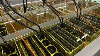 Bitmain S19j Pro bitcoin miners submerged in fluid in Norcross, Georgia.