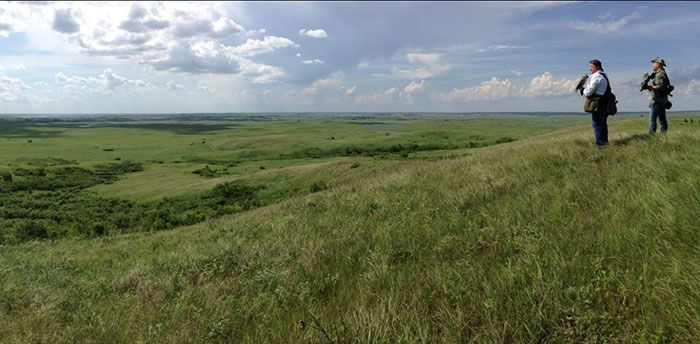 Jason-hausman-with-falcon