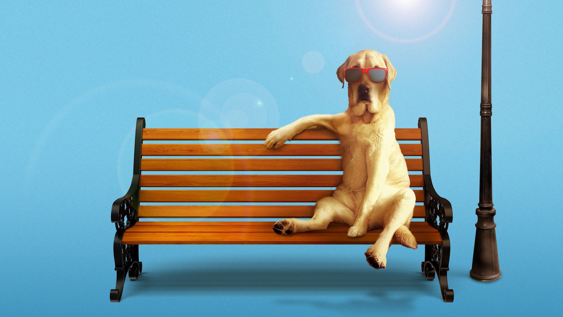 Illustration of a dog with sunglasses sitting on a park bench.