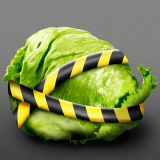 Cyclospora exposes weak links in America's food safety system