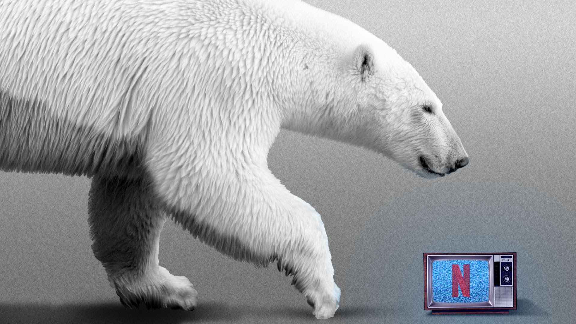 Illustration of polar bear walking in front of a TV with the Neftlix logo