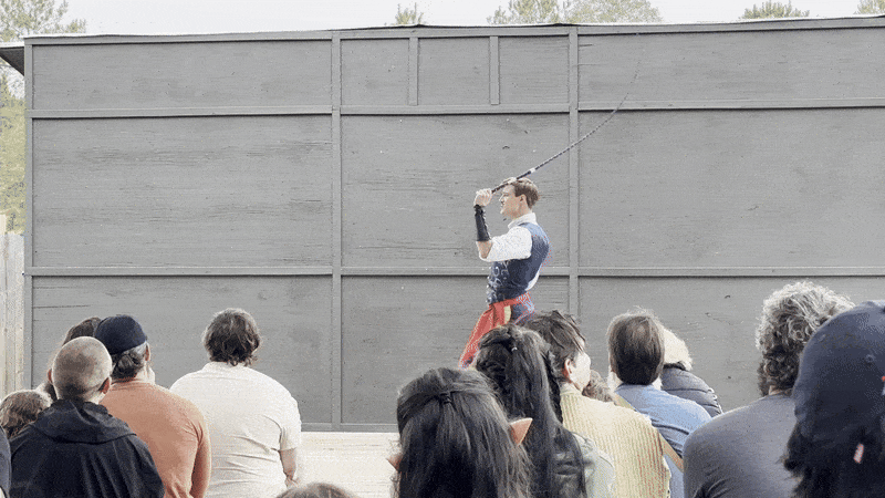 Image shows a map with whips