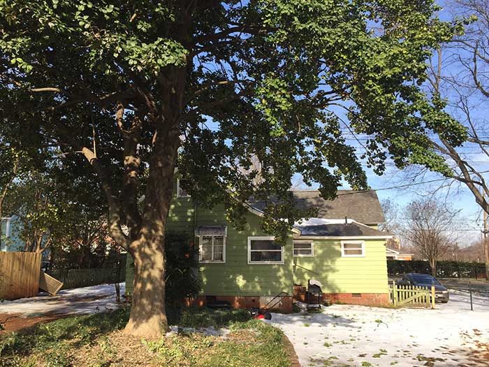 goodyear-house-backyard-2