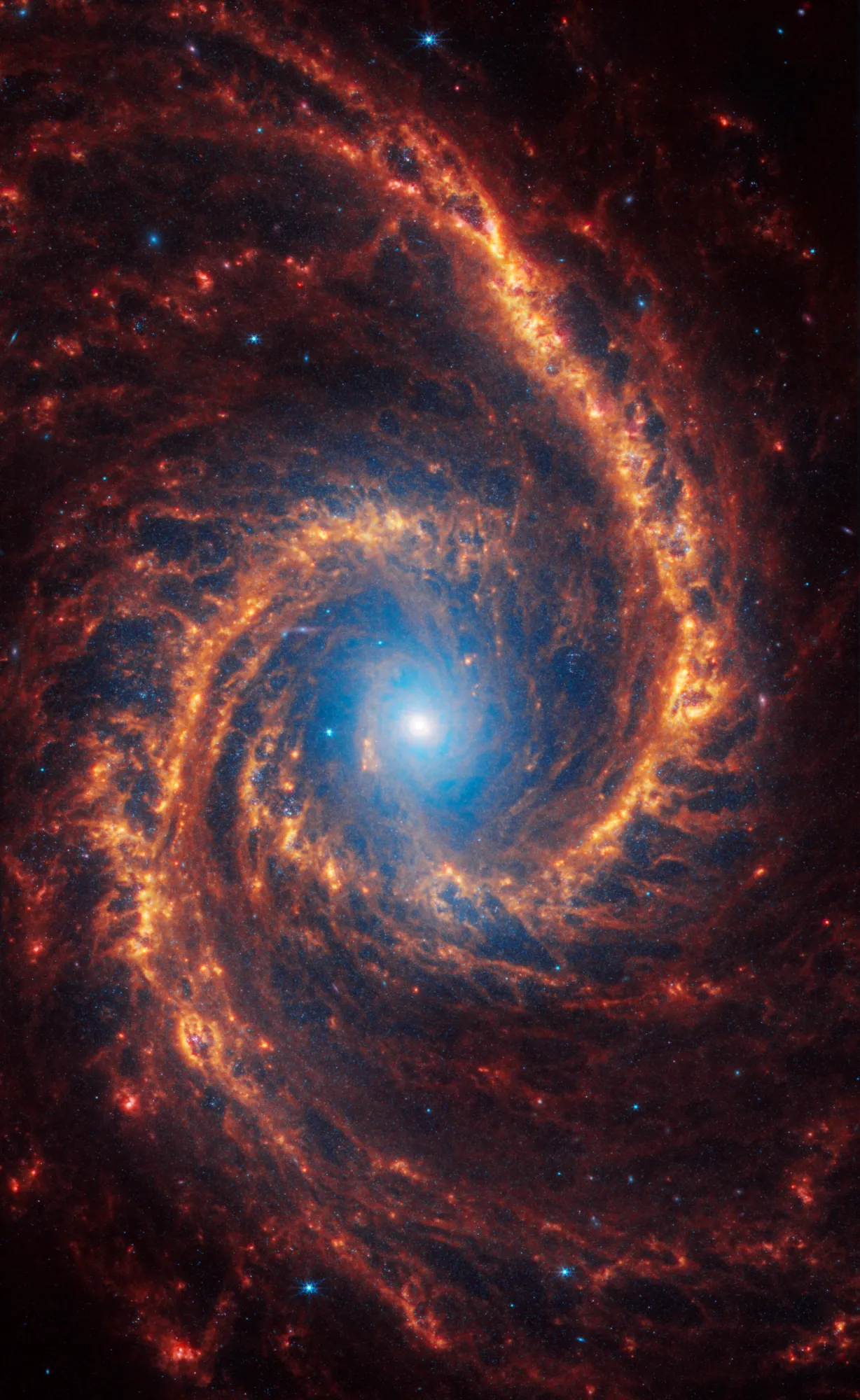 Spiral galaxy NGC 1566 is 60 million light-years away in the constellation Dorado.