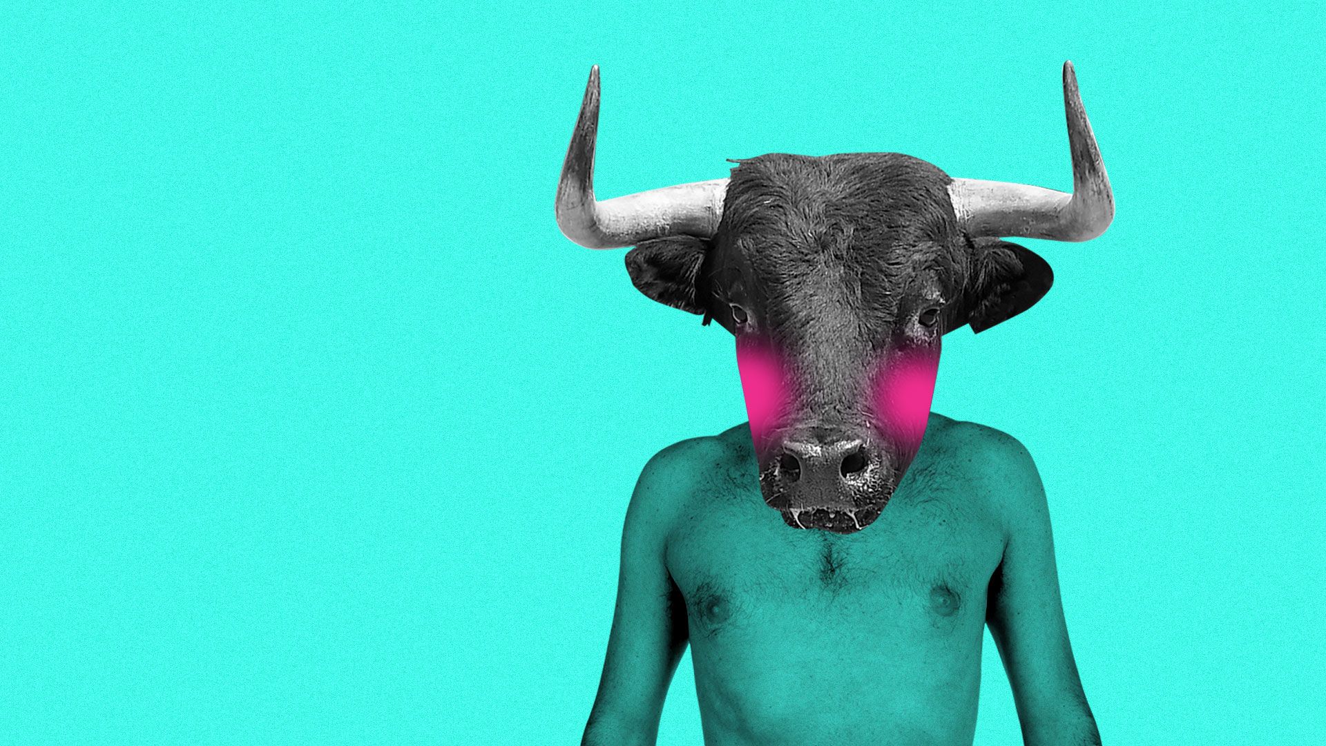 A blushing minotaur
