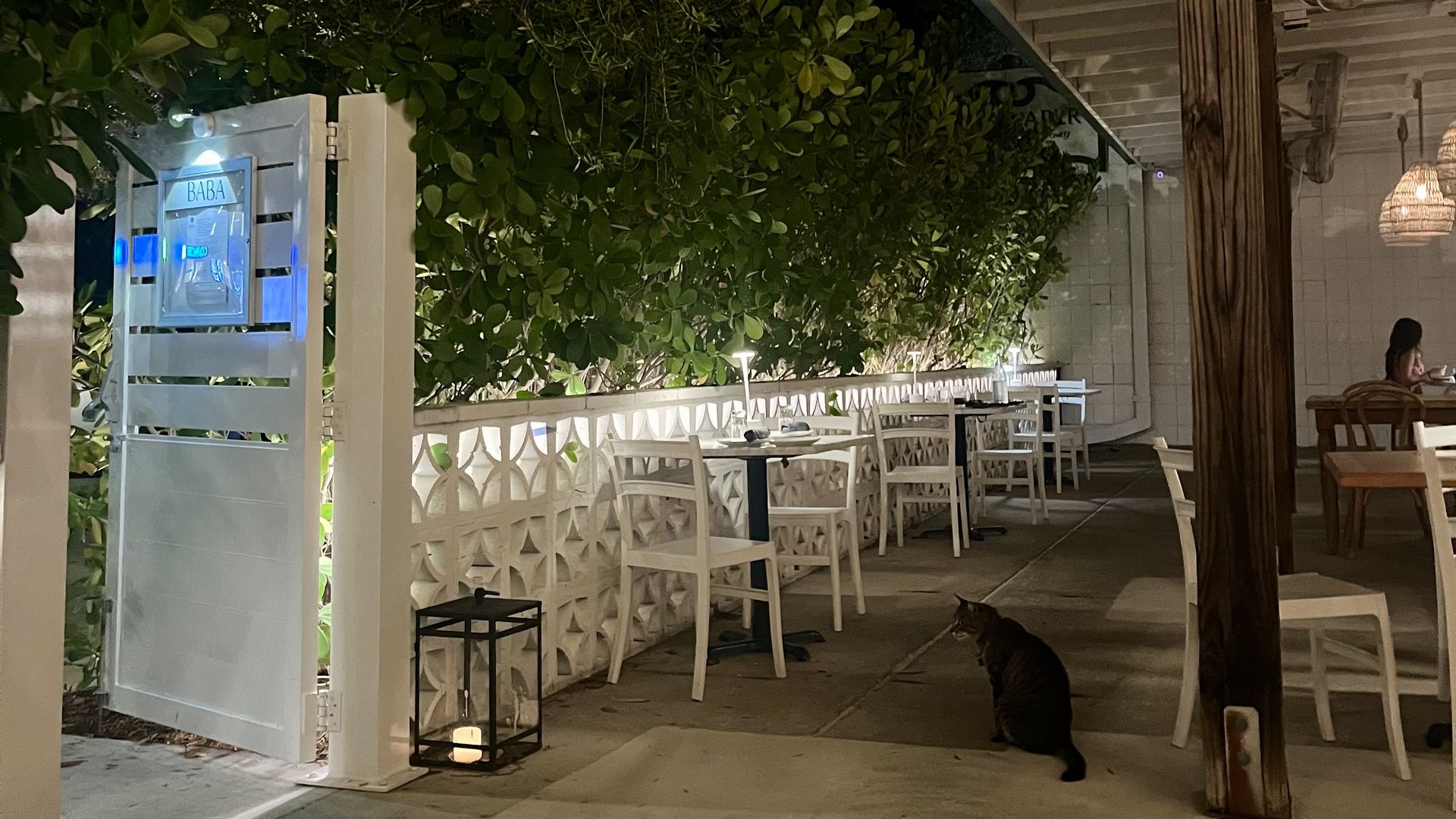 Night outdoor cafe with white tables and chairs beside a green hedge; wicker lamps hang from a wooden pillar. A cat sits by a lantern as a person lounges at a back table.