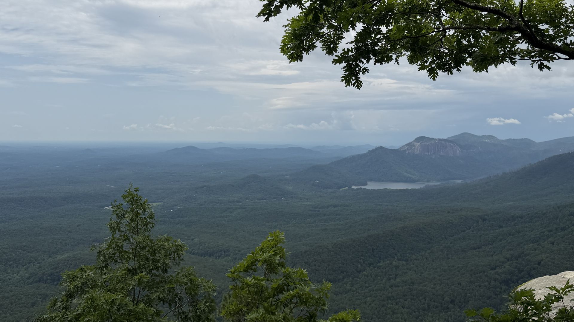Leafy tree branch extends from the right, framing a vast valley of forests and distant blue mountains beneath a cloudy sky.