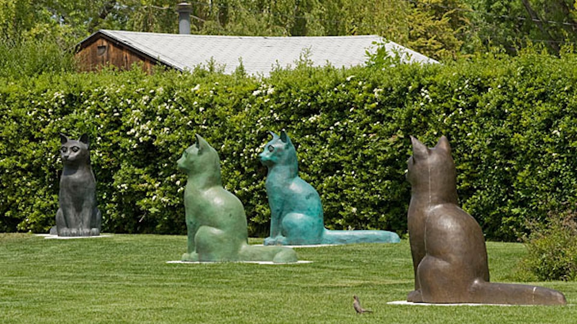 Four large seated cat sculptures in dark gray, green, turquoise, and brown sit on a green lawn, with a hedge and a wooden building behind; a small bird in the foreground.