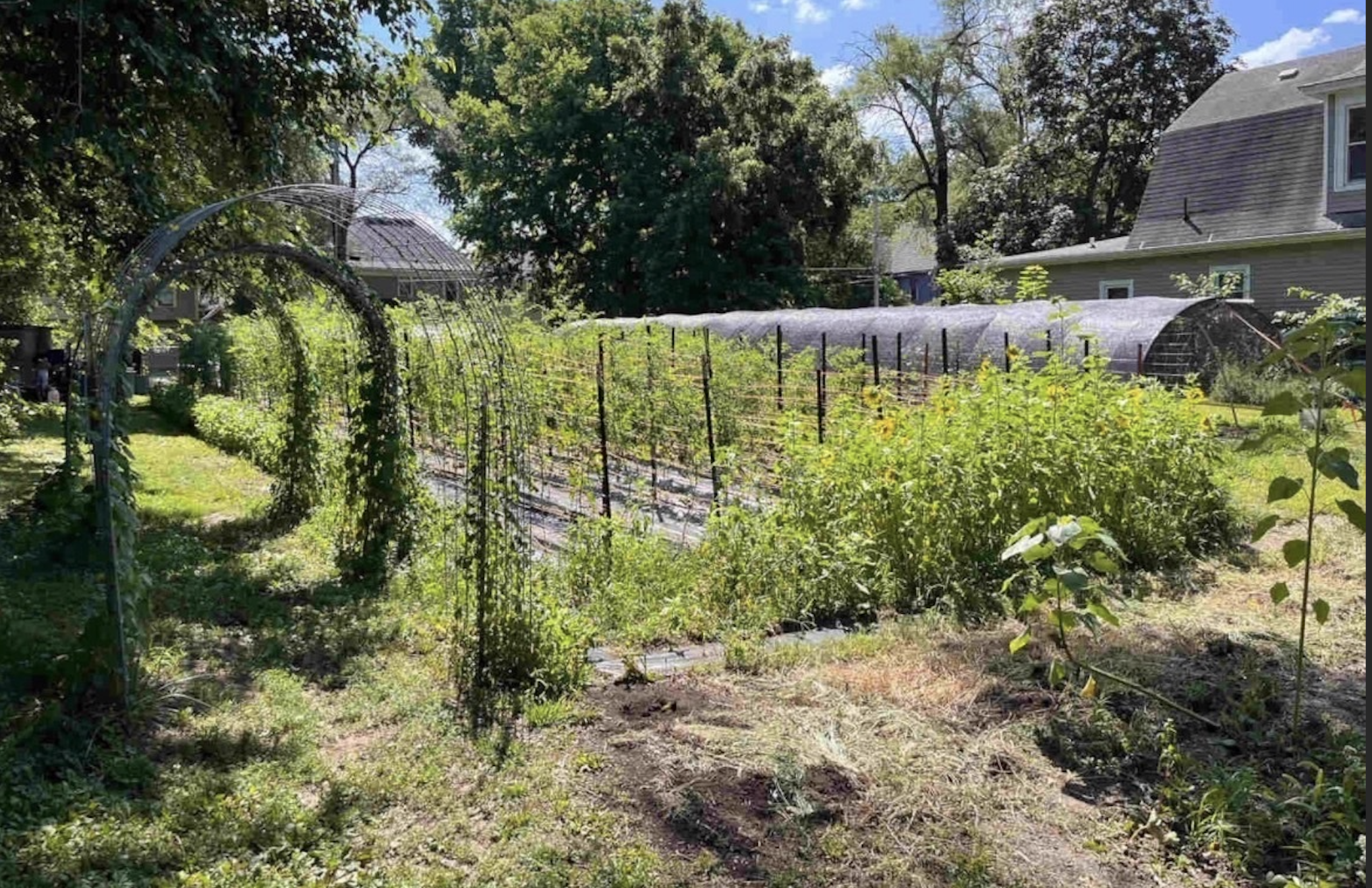 axios.com - Linh Ta - Sweet Tooth Farm owner wants to buy her original garden