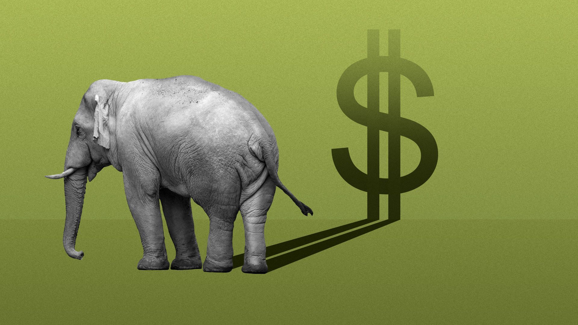 Illustration of an elephant casting a dollar sign shadow