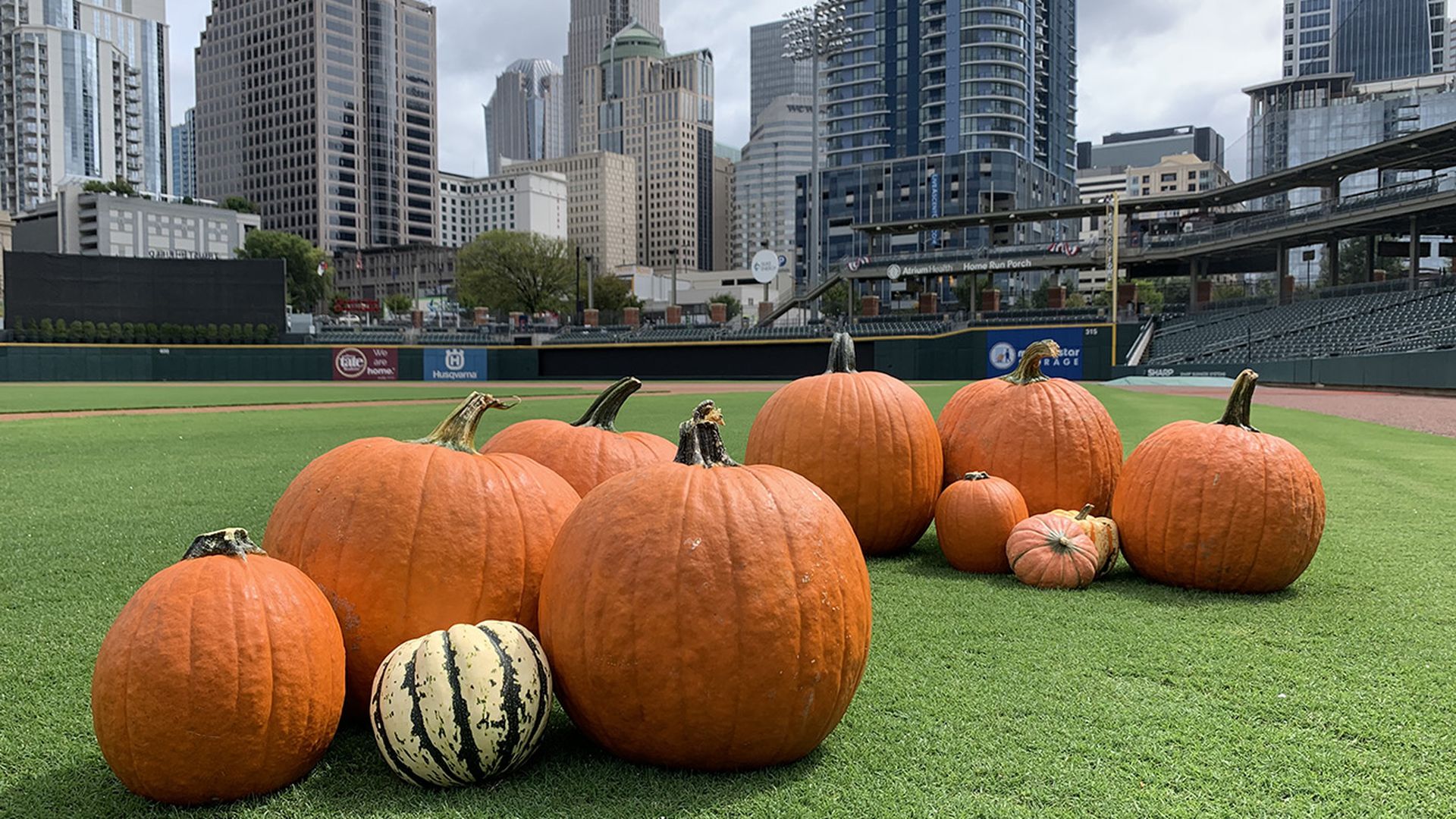 Several orange pumpkins of various sizes and one white-striped squash placed on a green baseball field with city skyscrapers under a cloudy sky in the background.