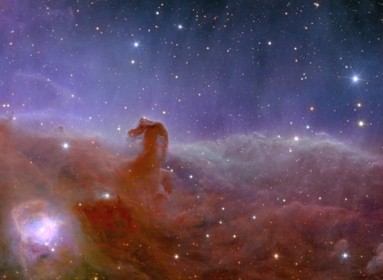 Euclid's image of the Horsehead Nebula.