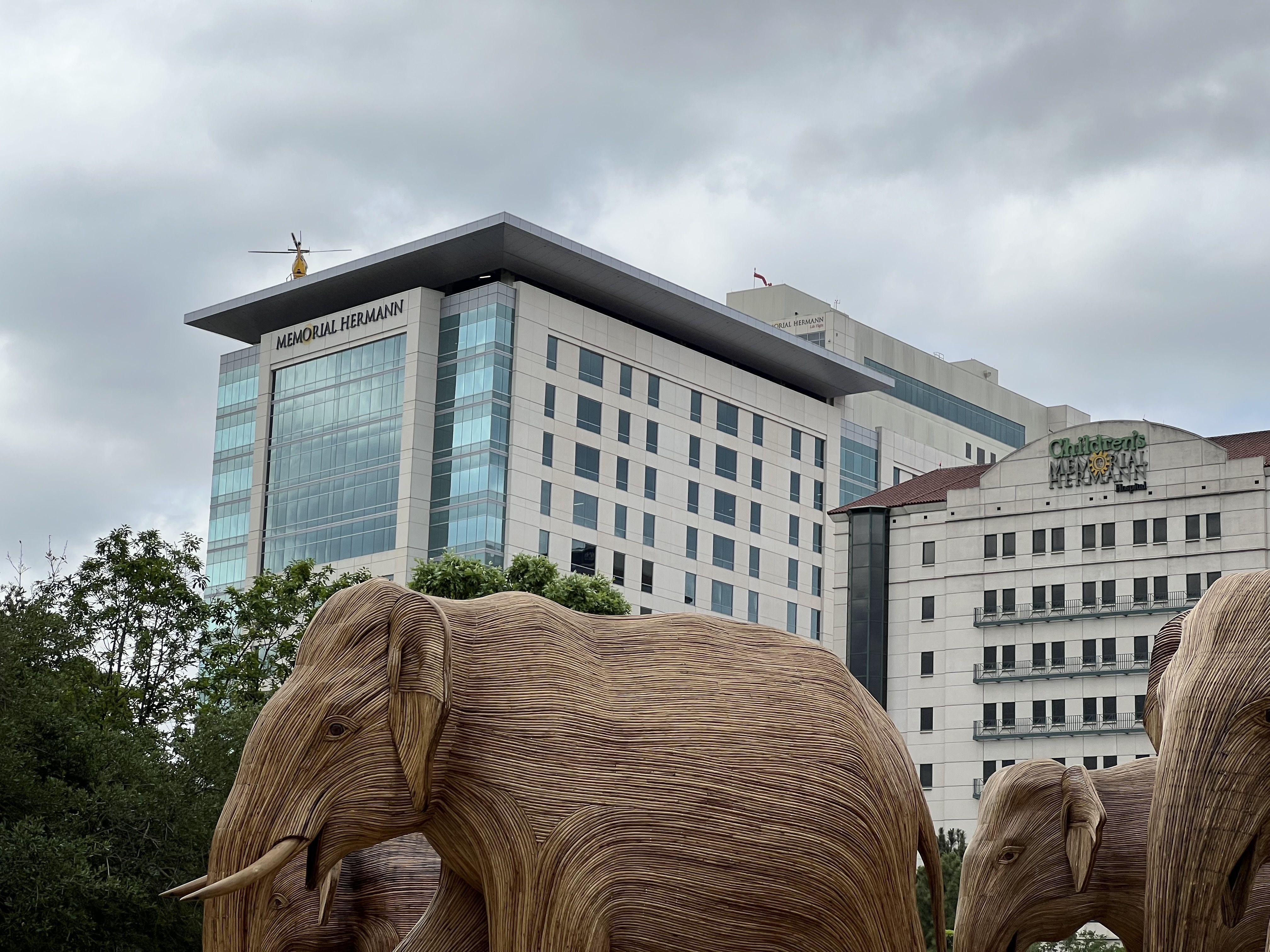 A medical helicopter takes off from a building overlooking a herd of life-sized handmade elephants in Hermann Park