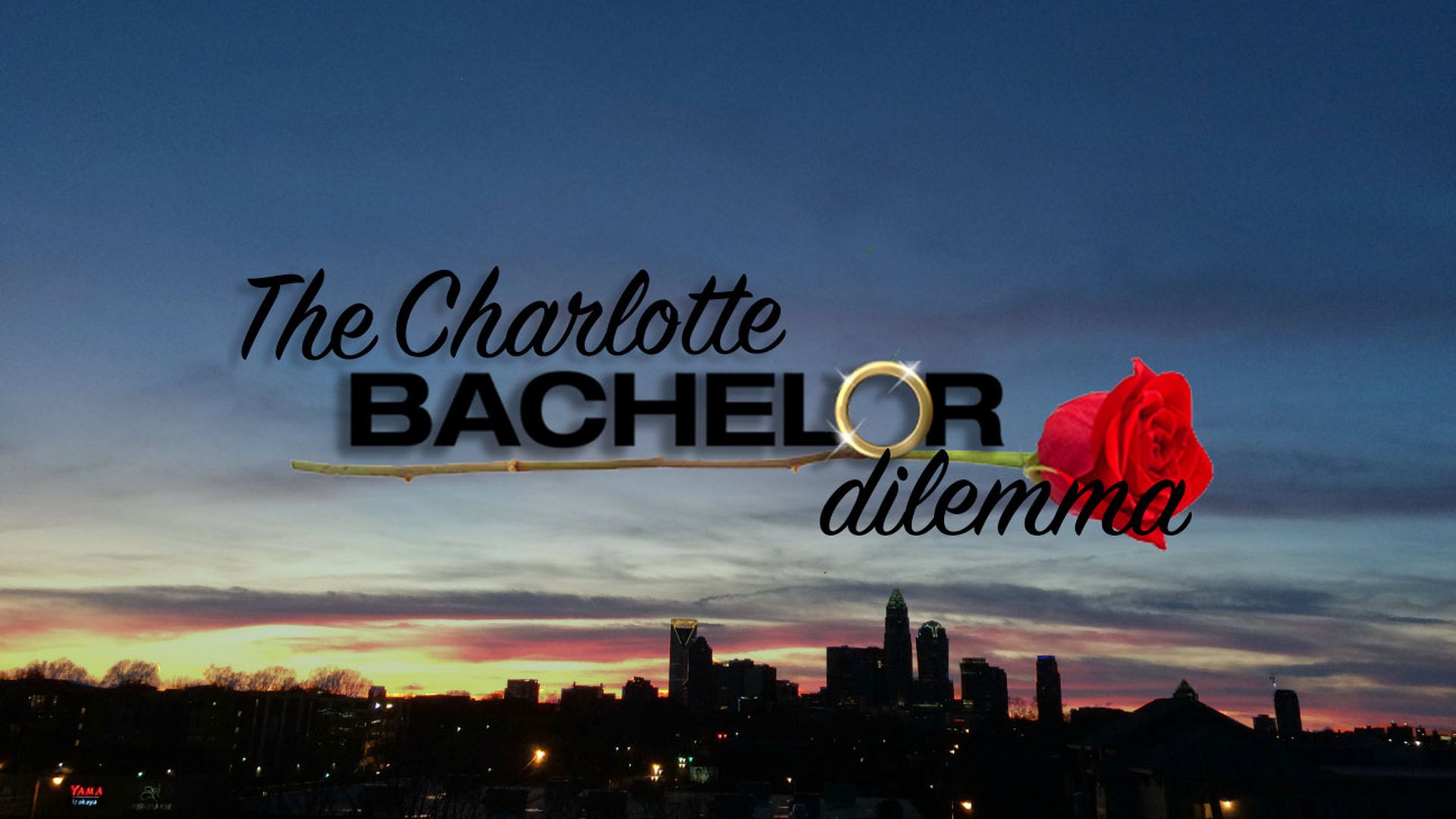 charlotte-bachelor