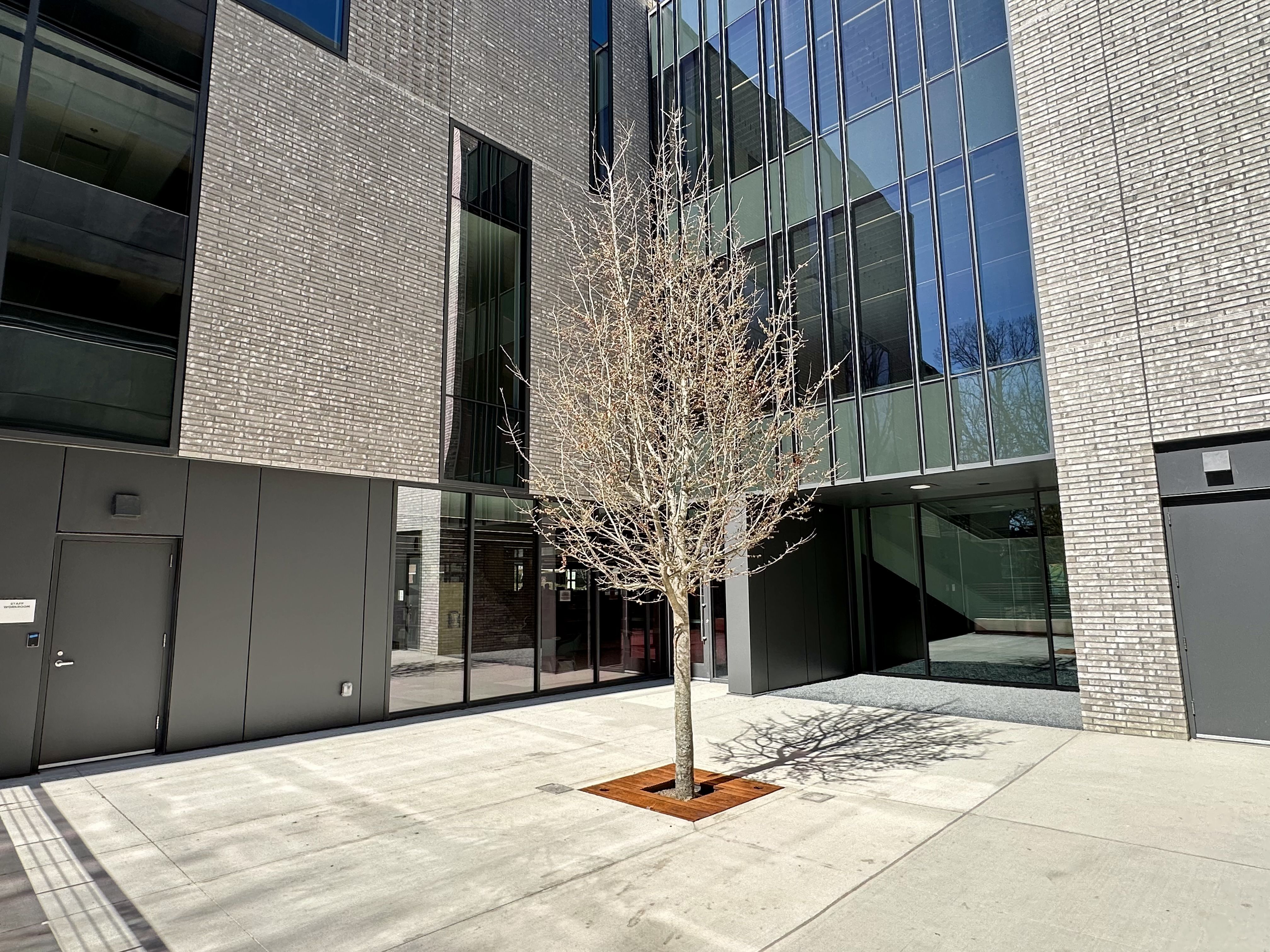 There is a small courtyard on the backside of the library