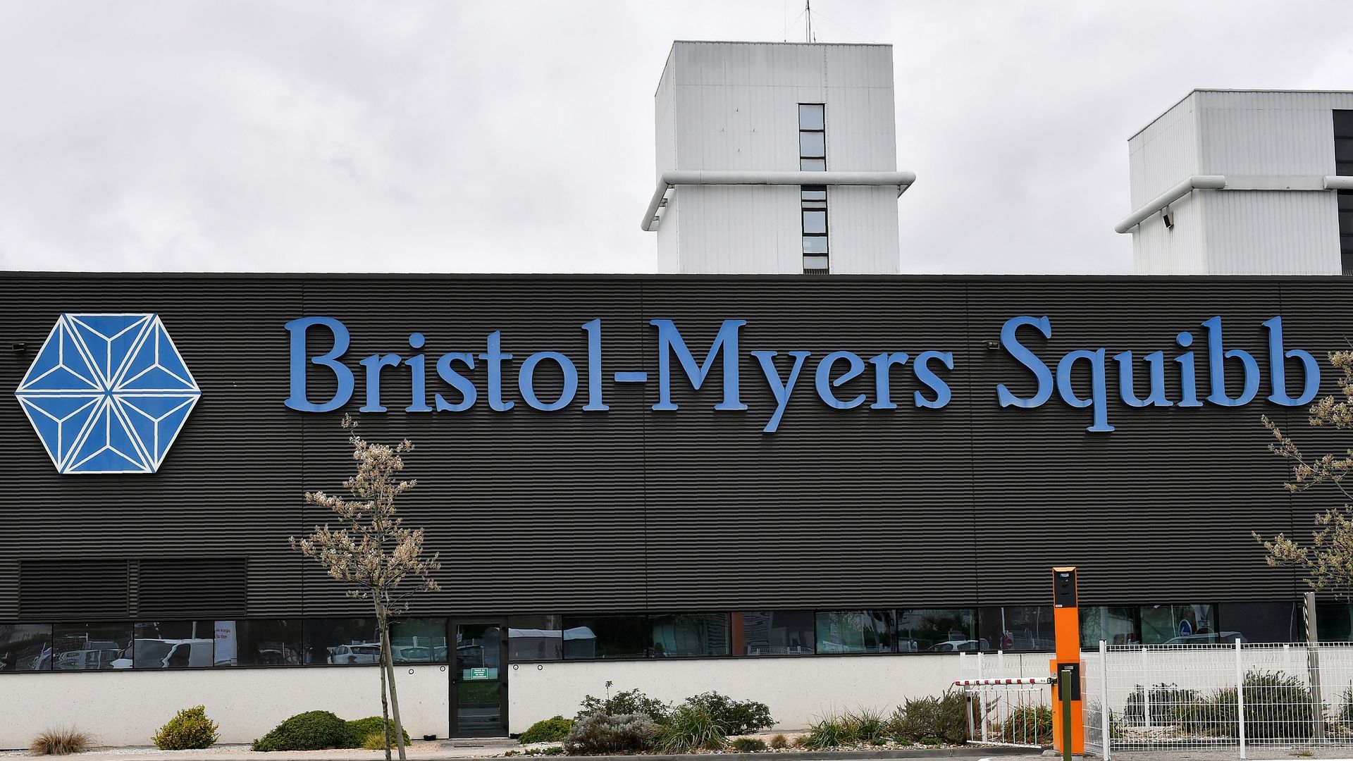 Bristol Myers Squibb Organizational Chart