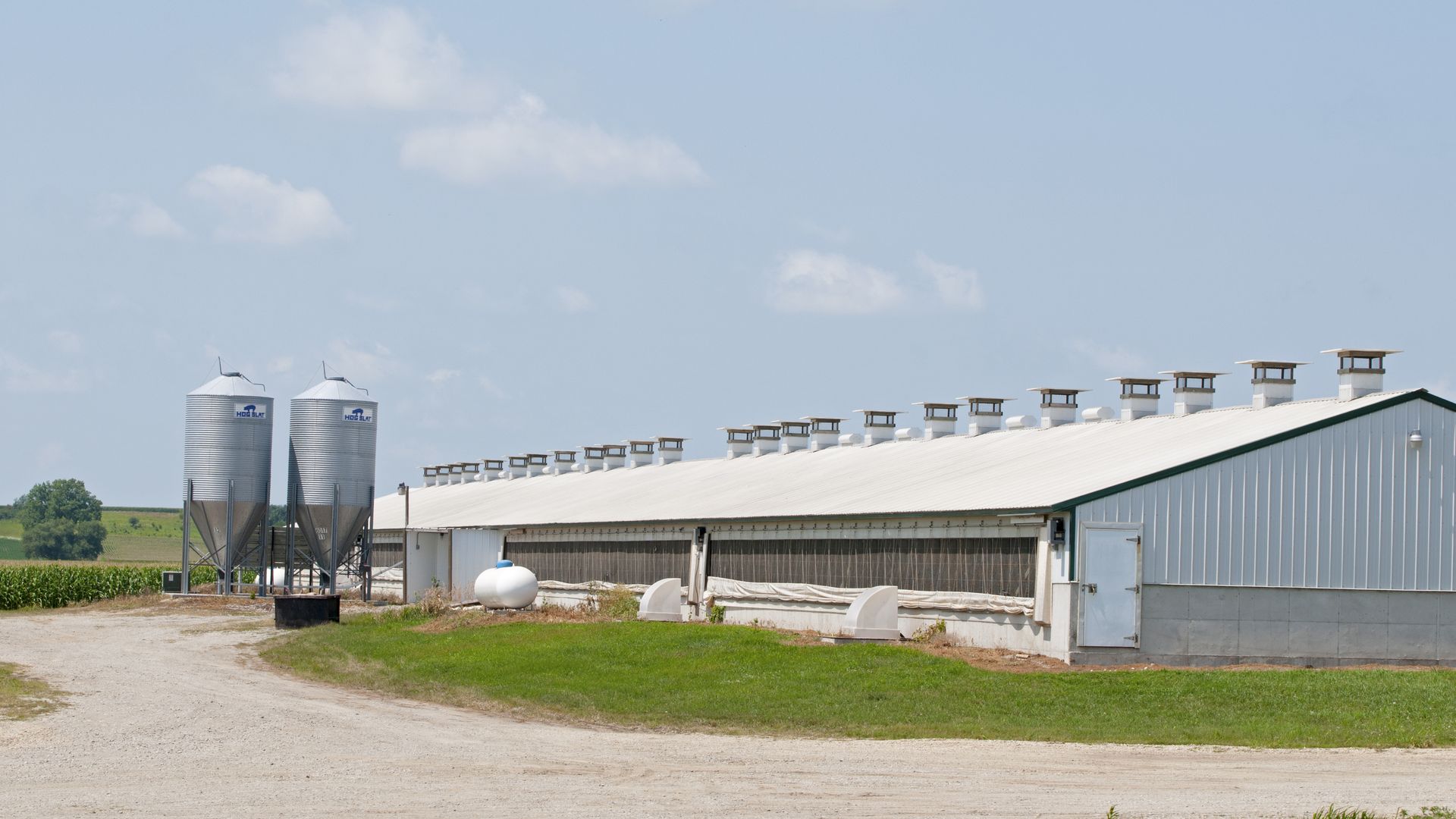 The outside of a hog confinement in Iowa.
