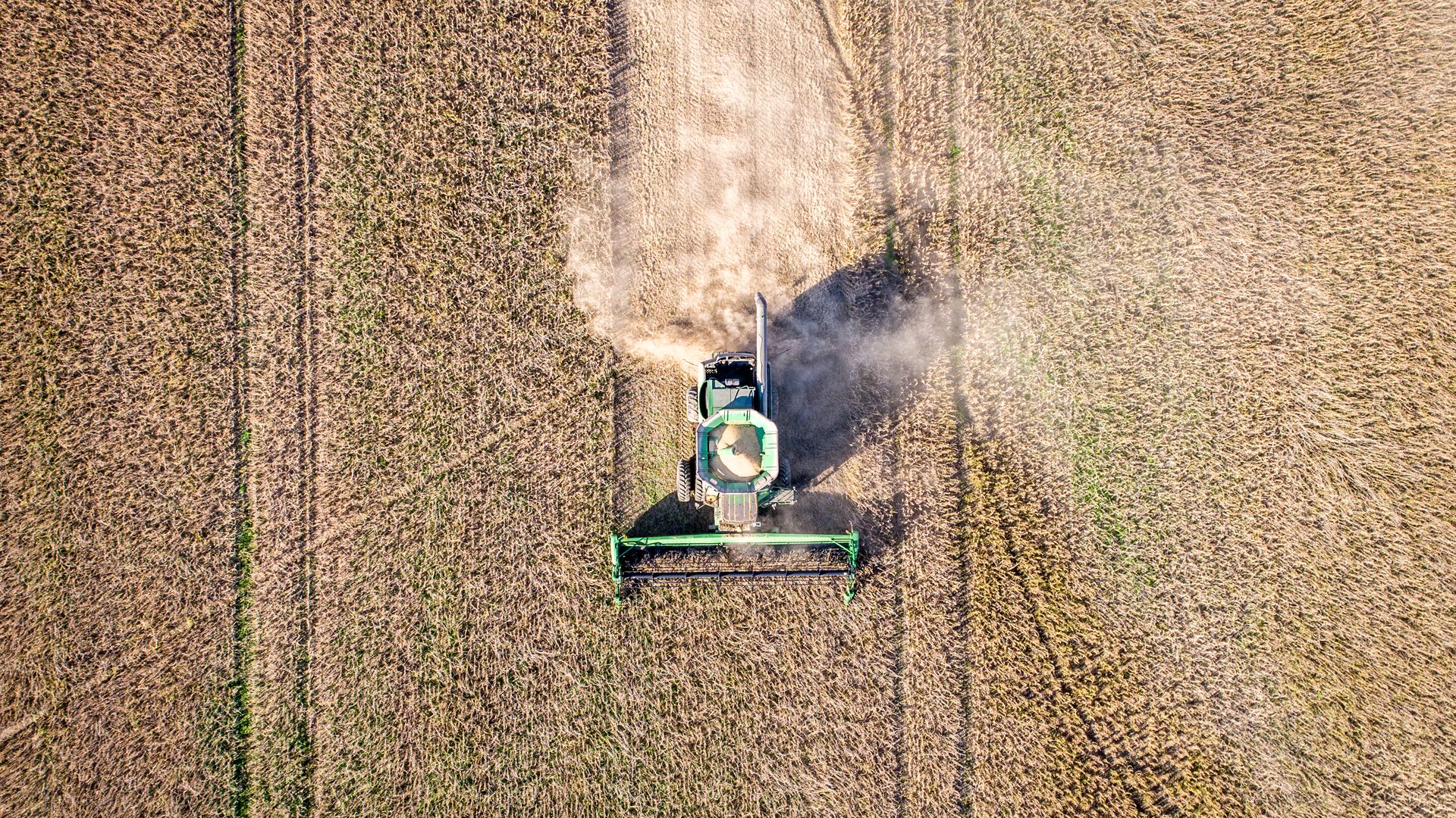 Aerial view looking directly down at a combine harvester driving through rows of soybeans and kicking up dust, Maryland. (Photo by: Edwin Remsberg / VWPics/Universal Images Group via Getty Images)